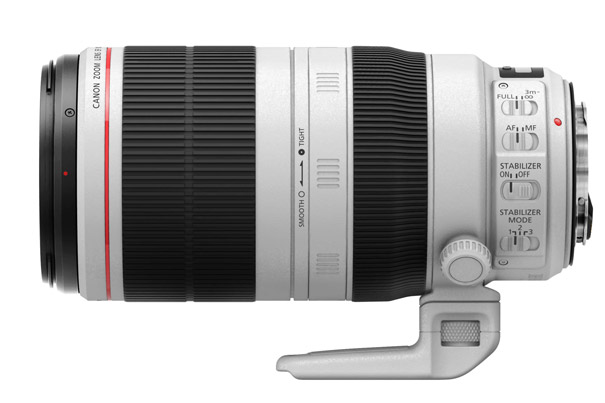 Review: The New Canon EF 100-400mm for Flowers and Bees 1