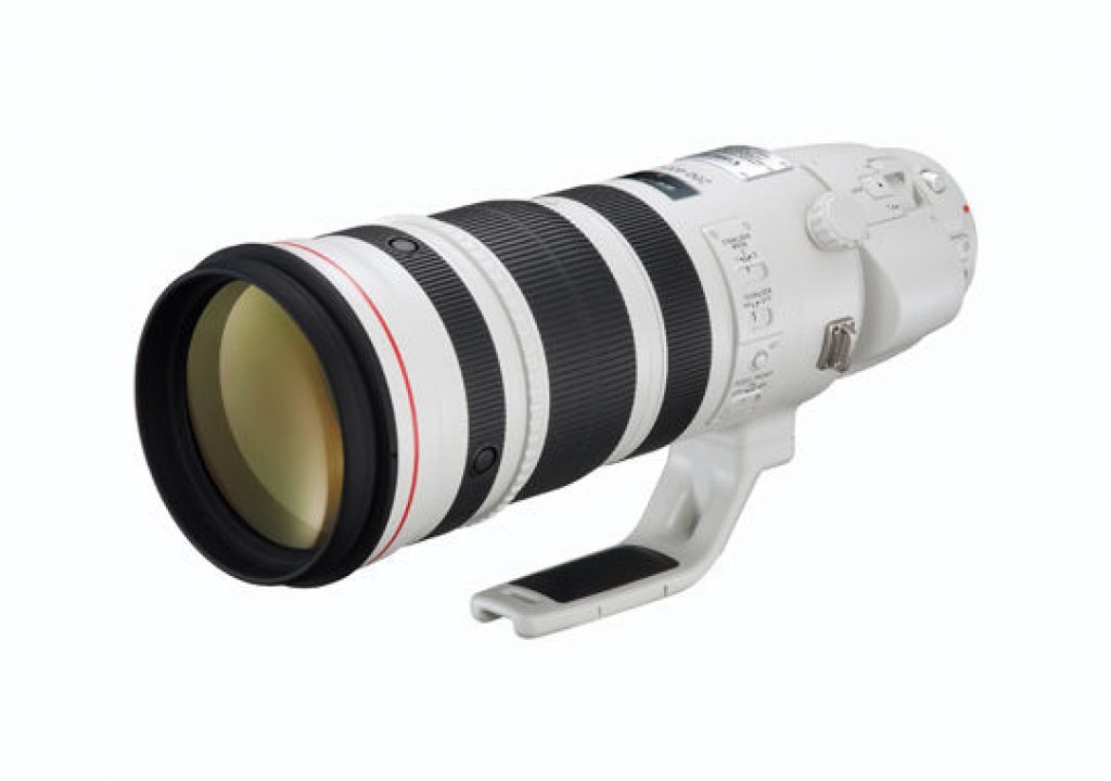 canon_200-400main.jpg