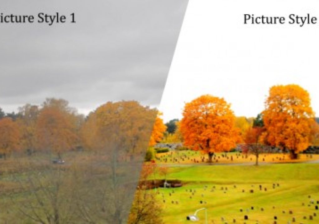 canon_picture_styles_latitude_thumb.jpg