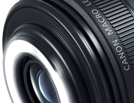 Canon EF-S 35mm F/2.8 MACRO IS STM, a macro with lights