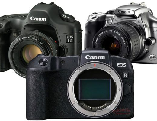 Canon EOS RP: is this a mirrorless EOS 300D?