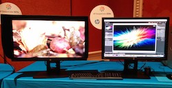 HP revitalizes DreamColor universe with 2 new models 2