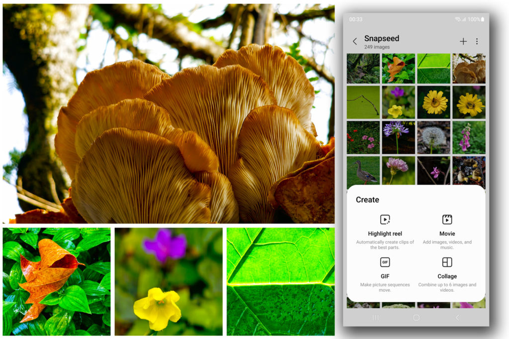 A photo collage app hidden inside Samsung smartphones
