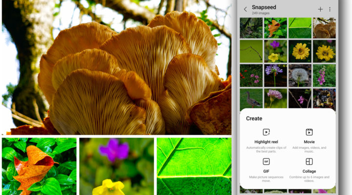 A photo collage app hidden inside Samsung smartphones