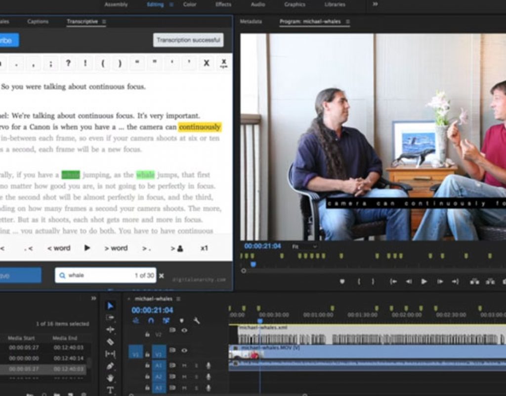 Digital Anarchy: a free After Effects SRT Importer