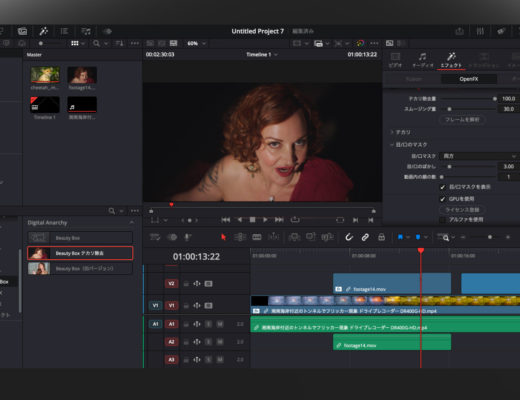 Digital Anarchy: VFX plugins now have Japanese versions