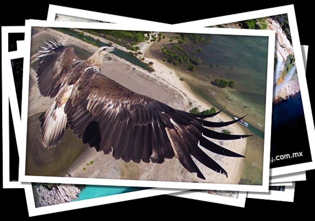 Drone Aerial Photography Contest 1
