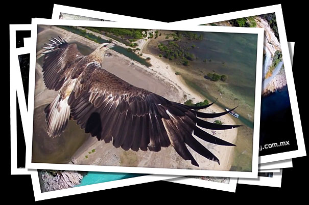 Drone Aerial Photography Contest 4