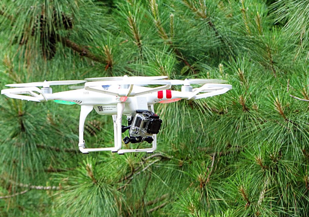 dronesinparks.jpg