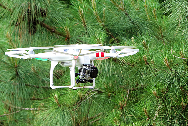 dronesinparks.jpg