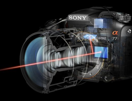 DSLRs are still alive, DSLTs may be dead