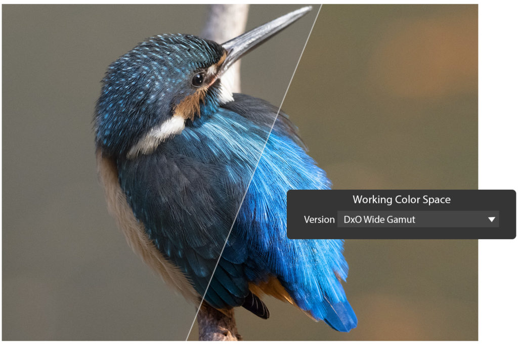 DxO PhotoLab 6.3 has new Wide Gamut and Soft proofing options