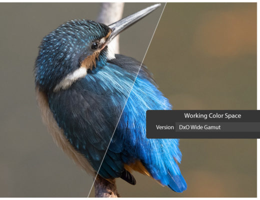 DxO PhotoLab 6.3 has new Wide Gamut and Soft proofing options