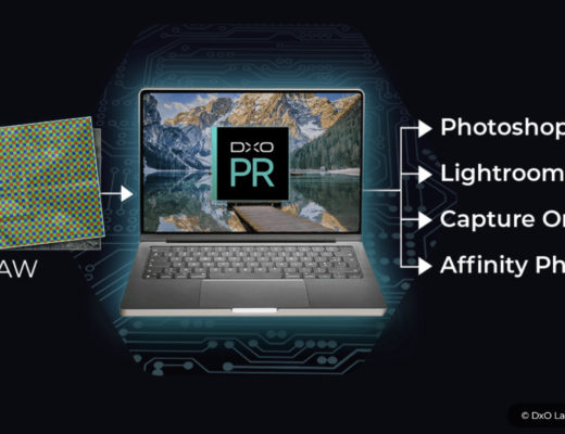 DxO PureRAW 3.7 now manages Lightroom Collections directly