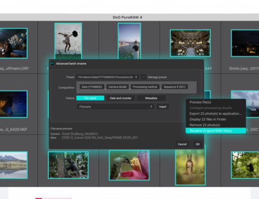 DxO PureRAW: version 4.6 now available