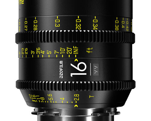 Vespid 16mm