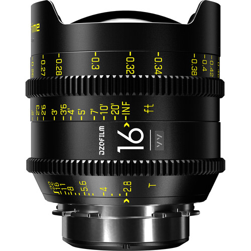 Vespid 16mm