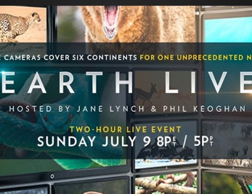 Earth Live: wildlife live in your living room