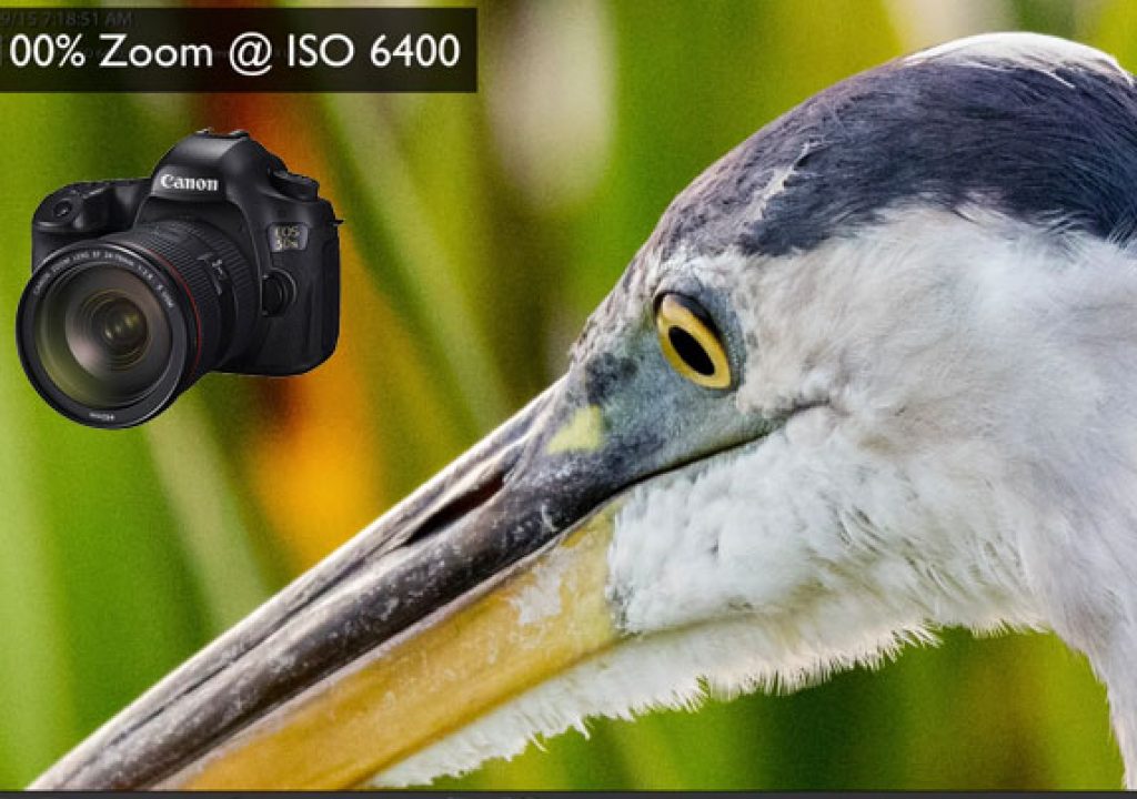 EOS 5DS R: A Real World Review 1