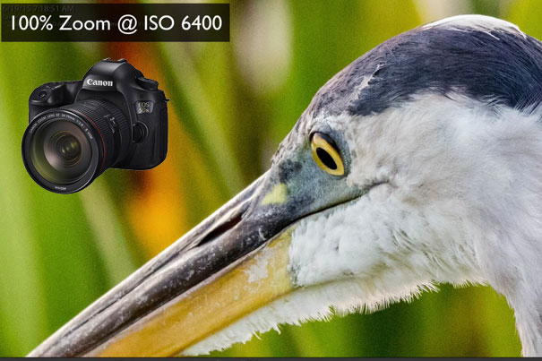 EOS 5DS R: A Real World Review 3