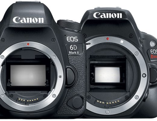 EOS 6D Mark II and SL2: two new DSLRs