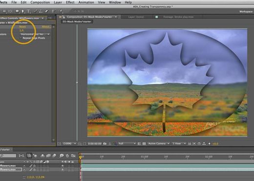 After Effects Apprentice: Creating Transparency 25