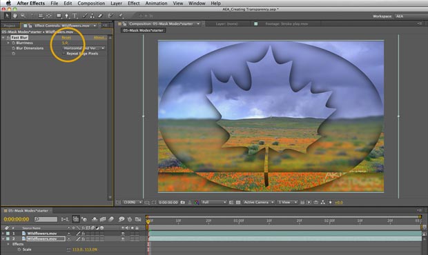 After Effects Apprentice: Creating Transparency 3