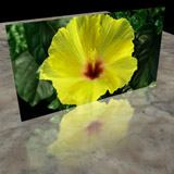 On Artbeats.com: Faux Reflections 3