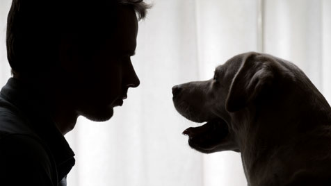 A Tale of Forbidden Love, Shot on RED 104