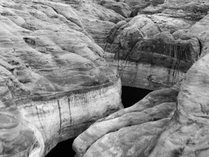 On Artbeats.com: Grayscale Shootout 3