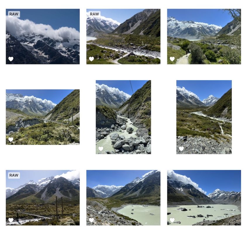 A series of images marked as Favorites
