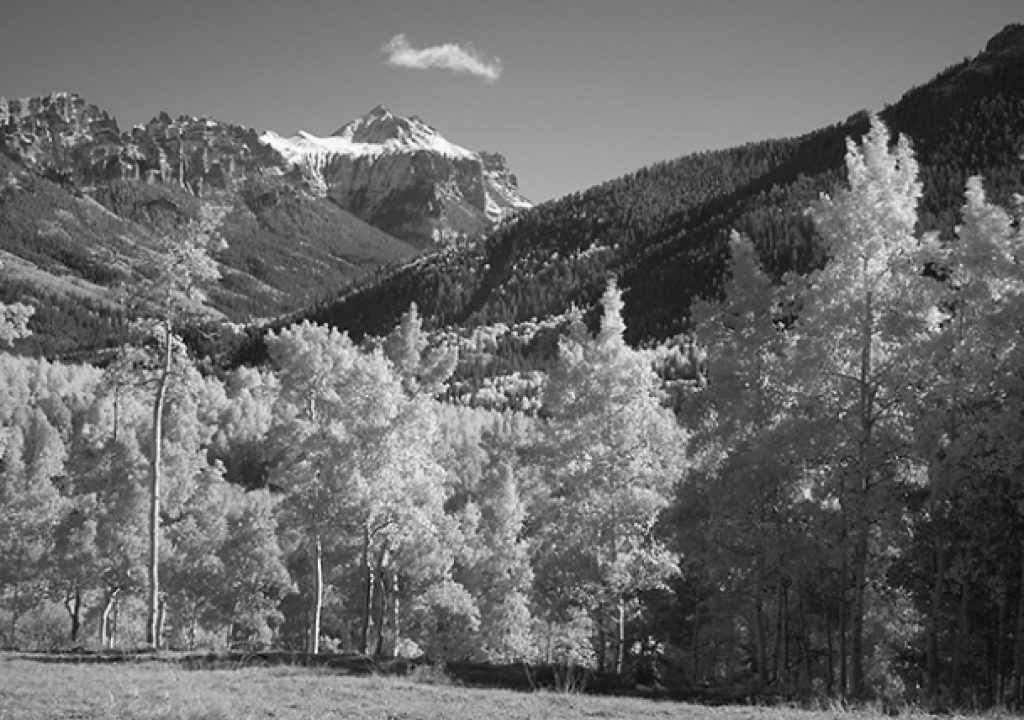 ff1863ir.jpg