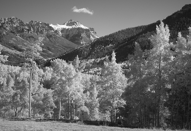 ff1863ir.jpg