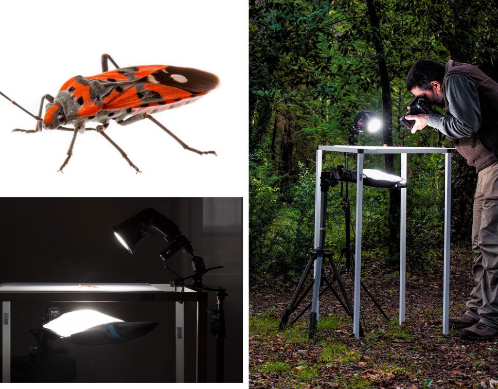 Rogue FlashBenders: a decade of evolution in light shaping