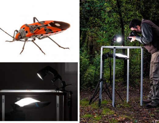 Rogue FlashBenders: a decade of evolution in light shaping