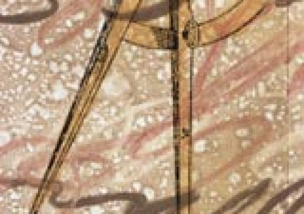 font_compass_r.jpg