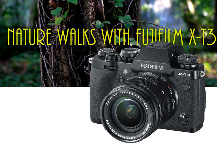 Fujifilm X-T3: hands-on review