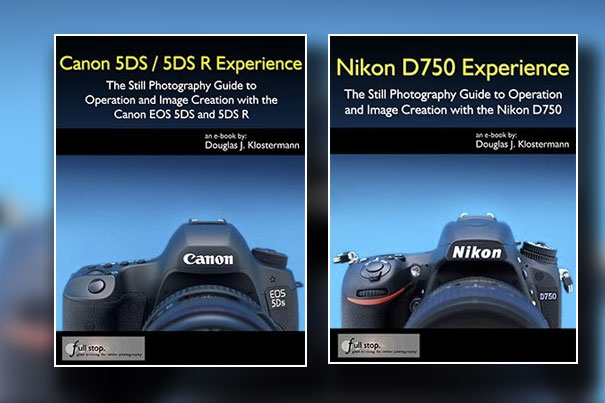 Canon and Nikon: fifth anniversary of Full Stop guides 2