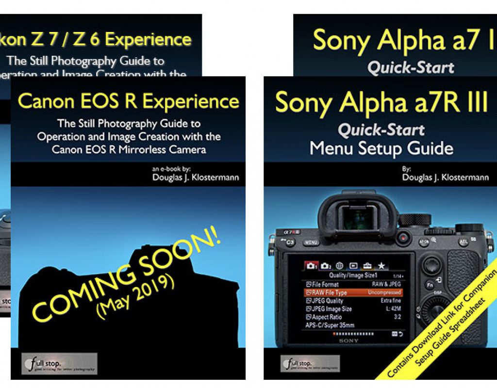 From Nikon Z6 to Canon R or Sony a7: guides to make sense of mirrorless