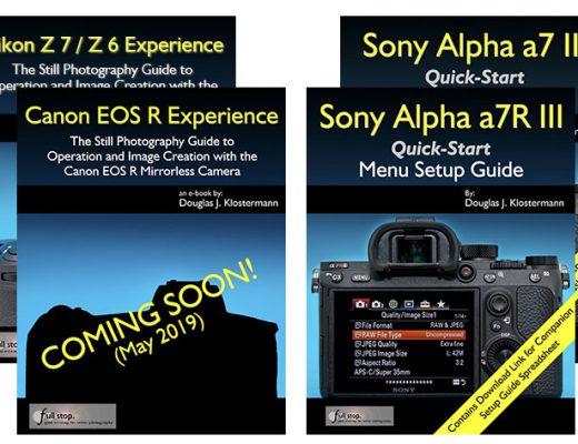 From Nikon Z6 to Canon R or Sony a7: guides to make sense of mirrorless