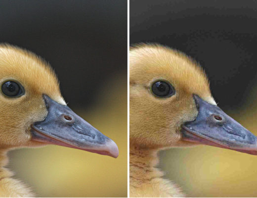 Jpegli: a new JPEG to make the internet faster and more beautiful