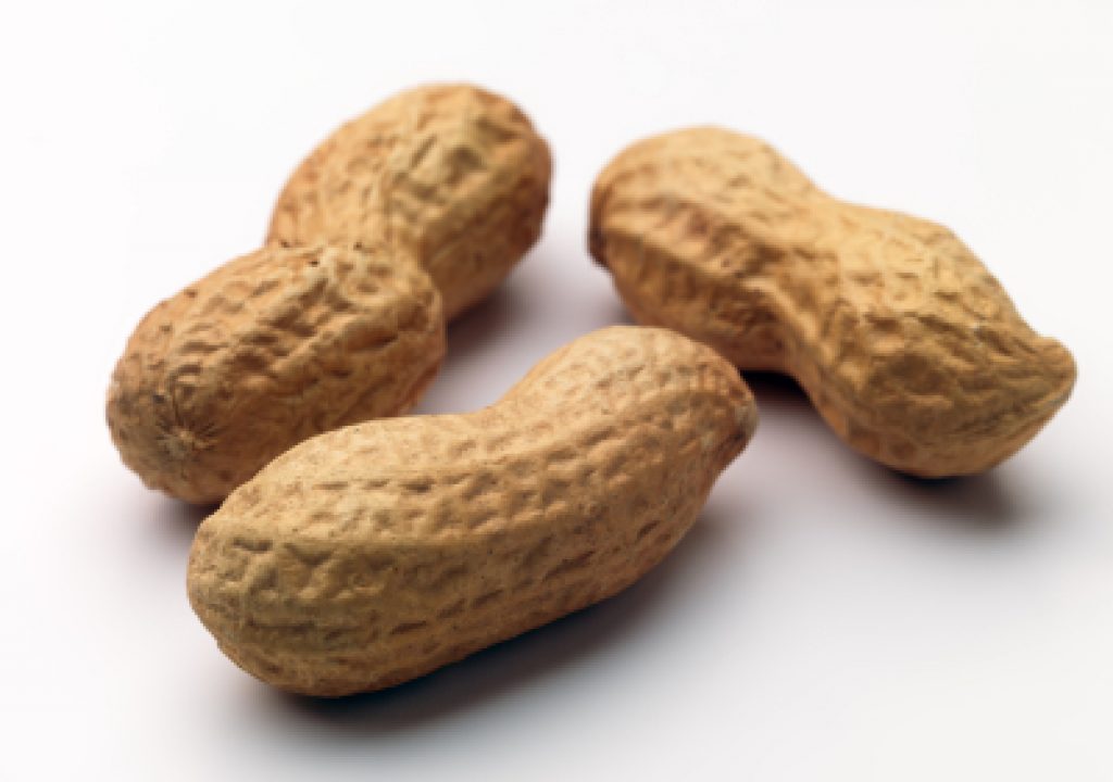 iStock_000004608179XSmall.jpg