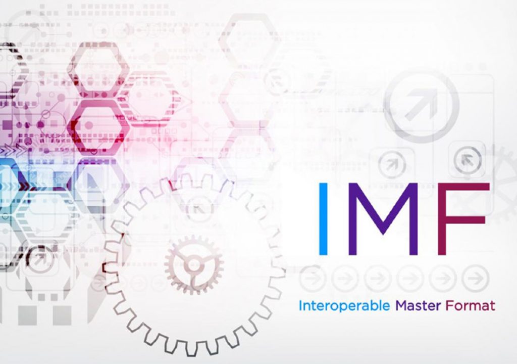 IMF Essentials: What You Need to Know
