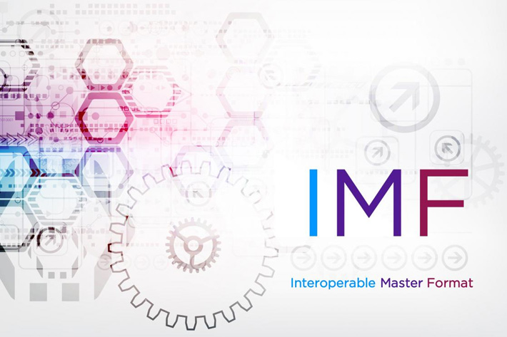 IMF Essentials: What You Need to Know