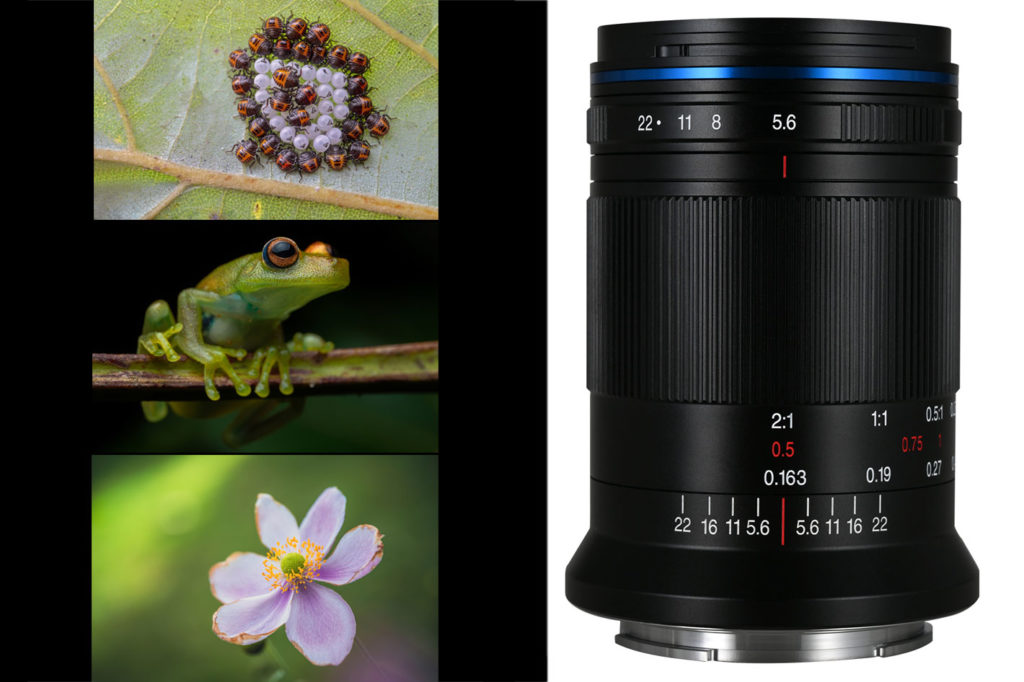 New Laowa 85mm f/5.6 2x Ultra Macro APO for L-mount