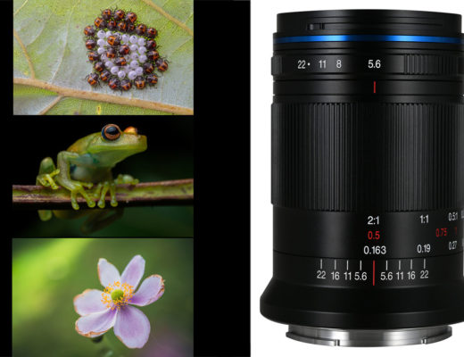 New Laowa 85mm f/5.6 2x Ultra Macro APO for L-mount