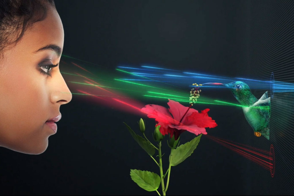 SolidLight, a scalable holographic display for huge video walls