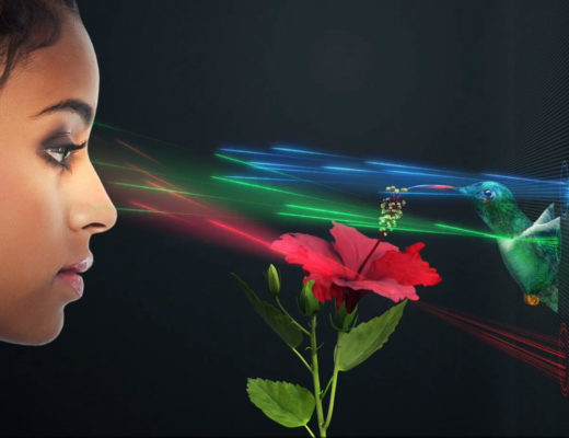 SolidLight, a scalable holographic display for huge video walls