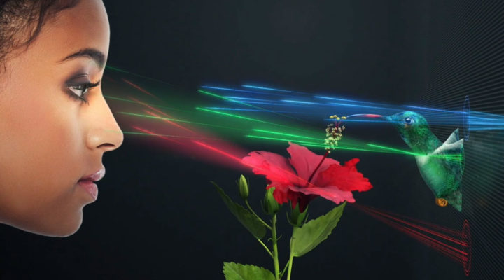 SolidLight, a scalable holographic display for huge video walls