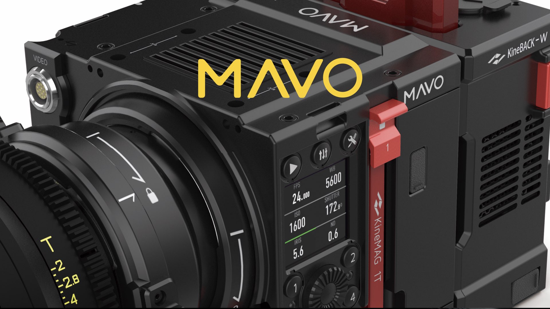 MAVO